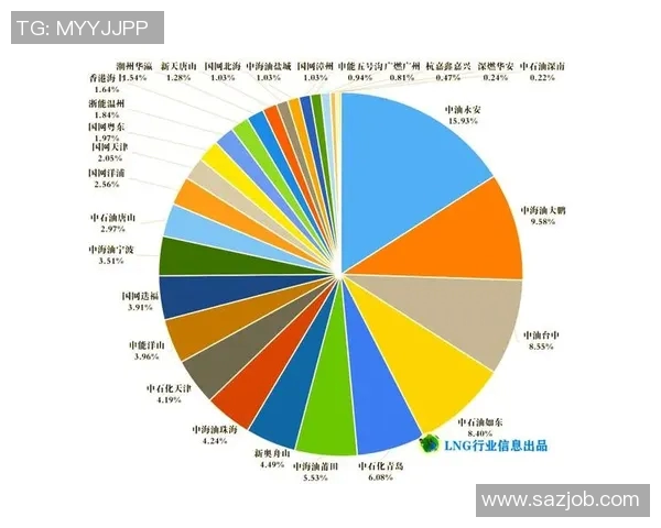 独家解析LNG行业团队协作模式的异同与发展趋势MBA